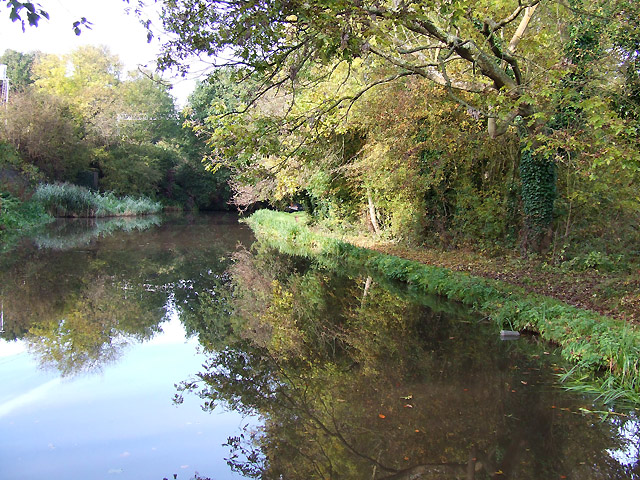Walton & River Sow - Photo 2
