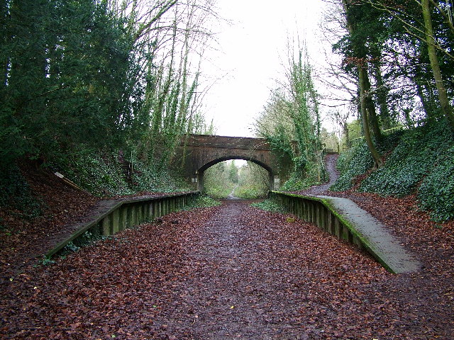 Blandford and Charlton Marshall Trailway