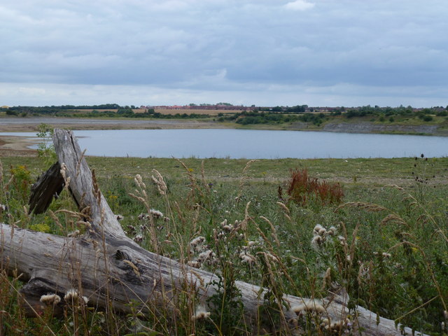 Hampton Lakes - Photo 3