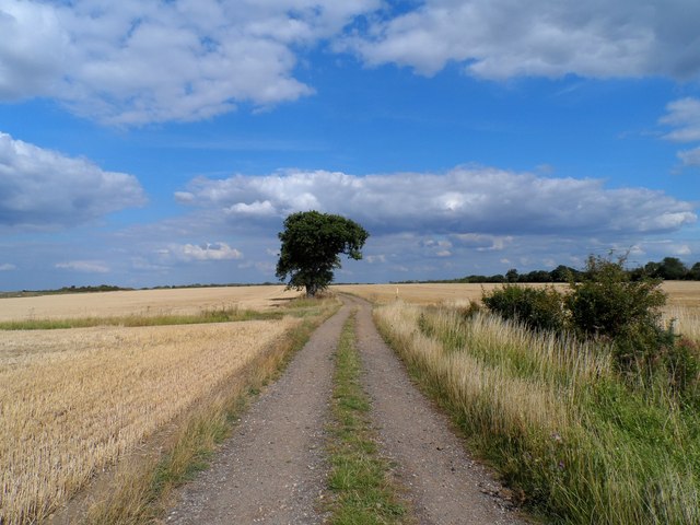 Hampton Lakes - Photo 4