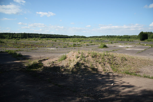 Bevercotes Pit Wood running route