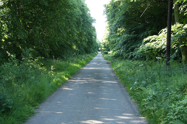 Bevercotes Pit Wood - Photo 3