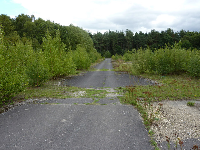 Bevercotes Pit Wood - Photo 6