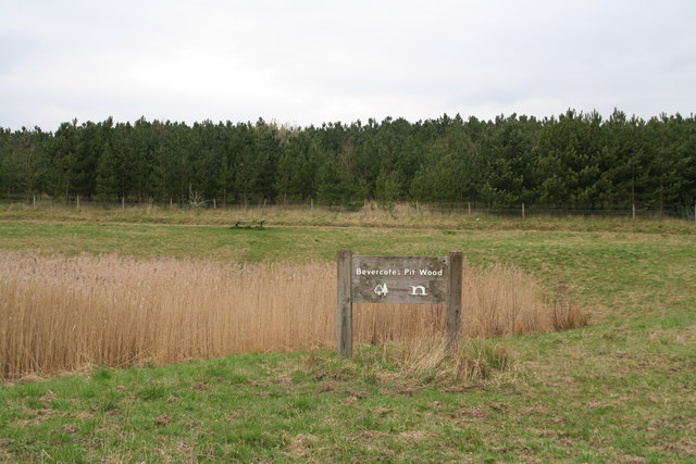 Bevercotes Pit Wood - Photo 7