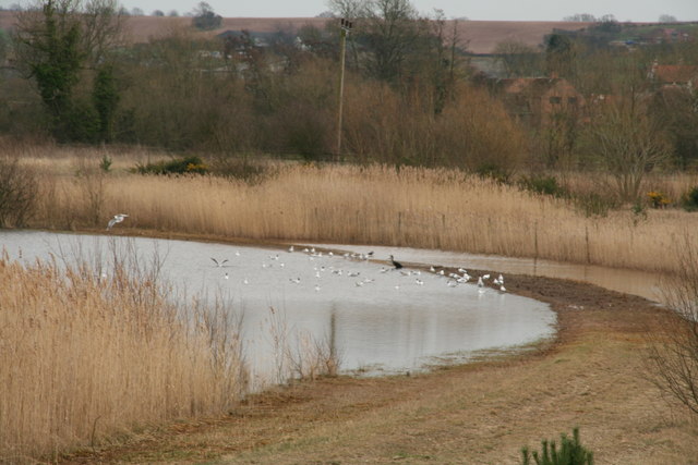 Bevercotes Pit Wood