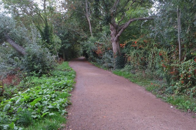 Battersea to Barnes Half Marathon - Photo 2