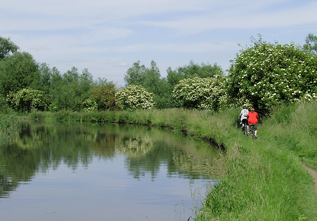 Canal to chase - Photo 5