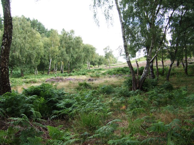 Canal to chase - Photo 2