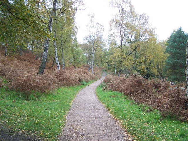 Canal to chase running route