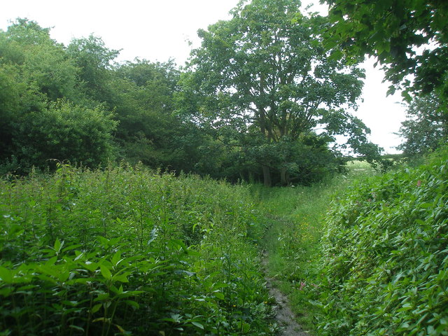 Bardsey hills - Photo 2