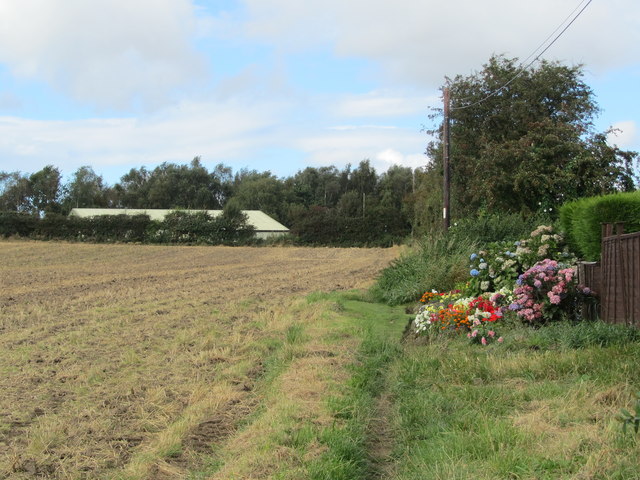 Bardsey hills running route