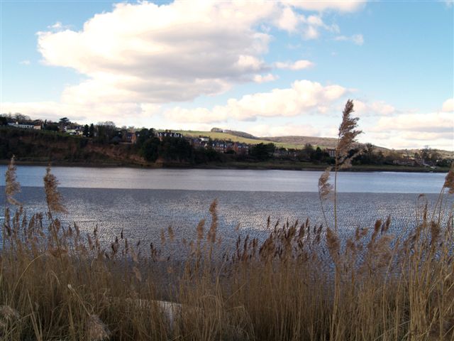 Awre River Loop - Photo 3