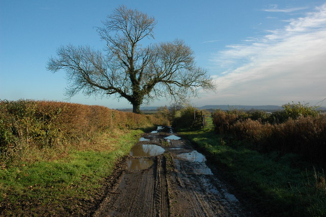 Awre River Loop - Photo 4