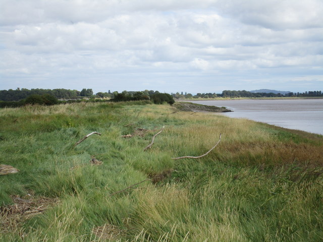 Awre River Loop running route