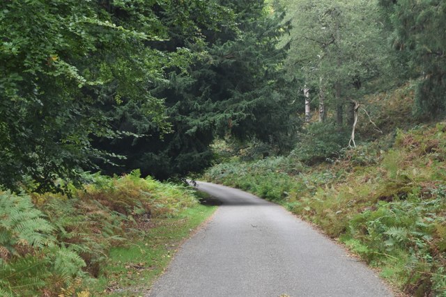 Milford canal loop - Photo 8