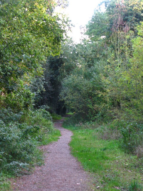 Chislehurst 3 Woods loop - Photo 6