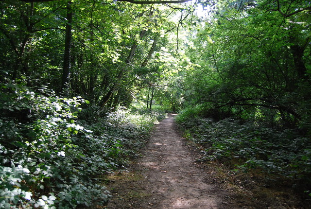 Chislehurst 3 Woods loop - Photo 5