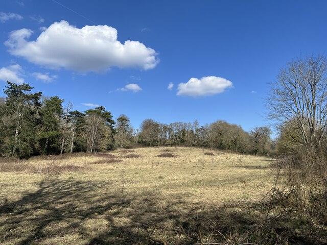 Chislehurst 3 Woods loop - Photo 4