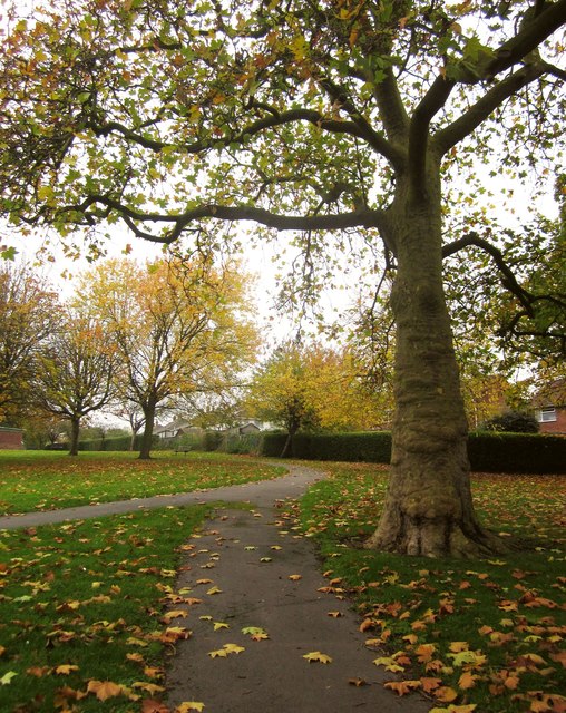 Double Parks - Manor Woods & King's Head