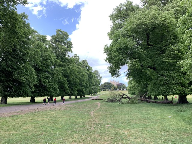 Wollaton Park 4