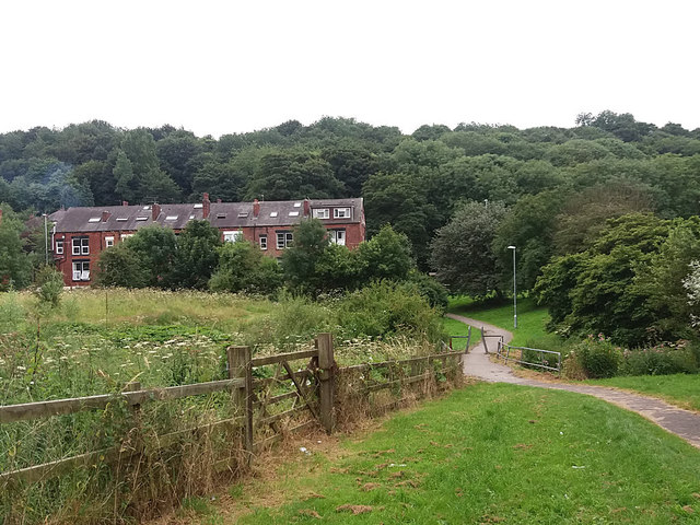 Sugarwell Hill Park and Around - Photo 4