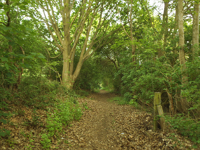 Sugarwell Hill Park and Around - Photo 5