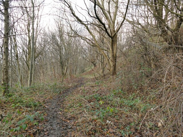 Sugarwell Hill Park and Around - Photo 2