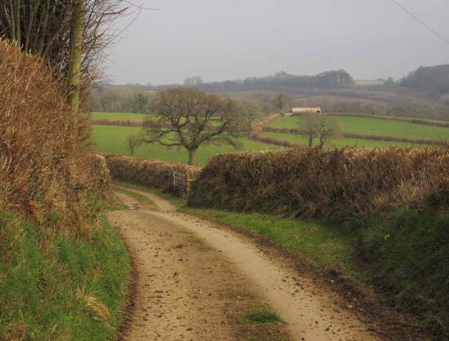 Stourscombe - Carzantic - Photo 2