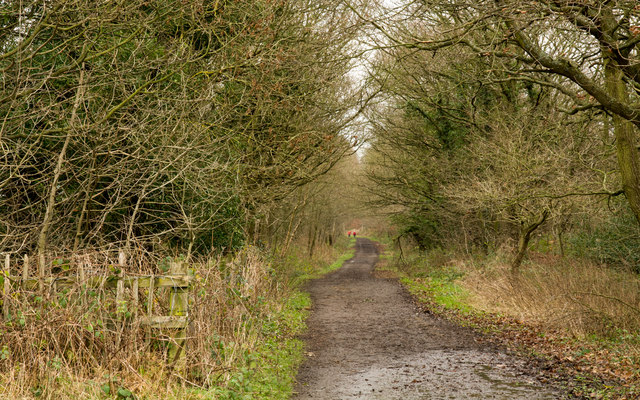 Deerness Valley with New Brancepeth Loop - Photo 3