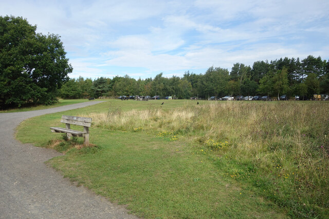 Deerness Valley with New Brancepeth Loop running route