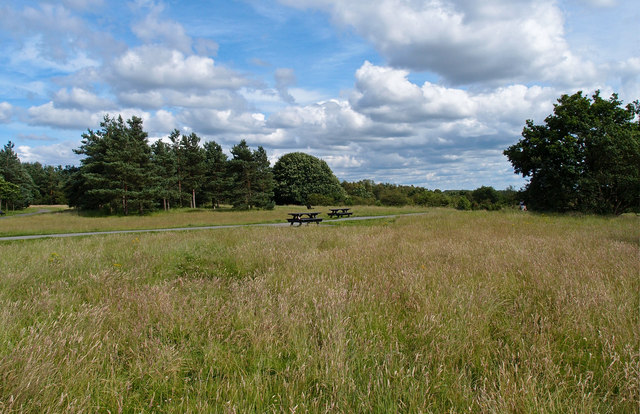 Meadowfield and Langley Moor