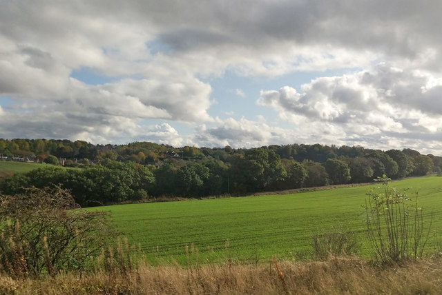 Meadowfield and Langley Moor - Photo 2